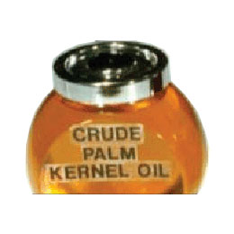 palm oil kernel rbd money nairaland opportunity tap making great